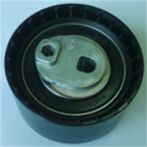 Tensioner   Bearing  OEM:989169  for  RENAULT