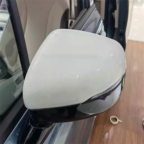 Mirror Cover For Carnival