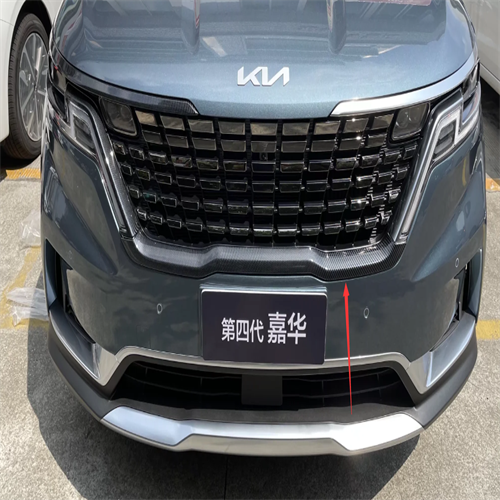 Front Grille Trim For Carnival