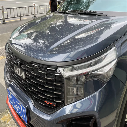 Front Grille Trim  For KIA Sportage